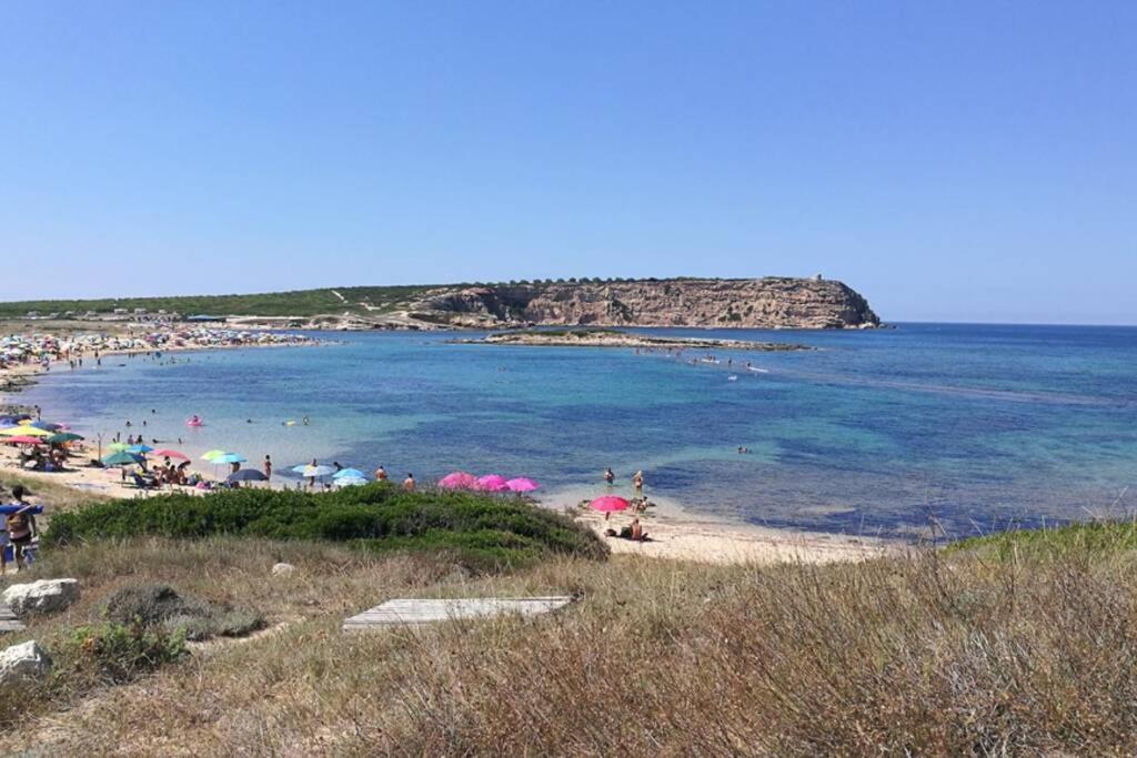 "Sutt'E Su Sole" - Vacanza Nel Cuore Della Sardegna Siamanna Dış mekan fotoğraf